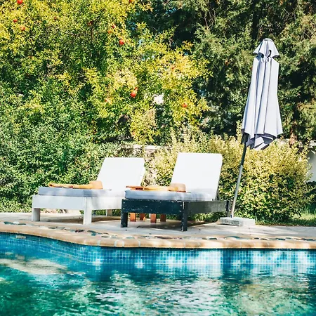 2k Eco Pool&stone