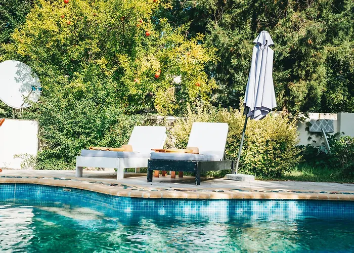2k Eco Pool & Stone